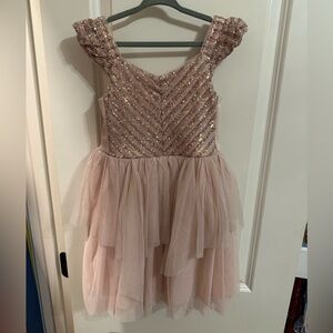 Zhenzi Blush Sequin Dress